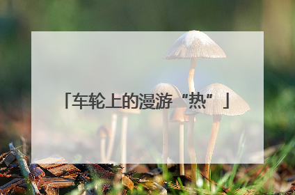 车轮上的漫游“热”