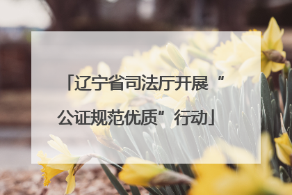 辽宁省司法厅开展“公证规范优质”行动