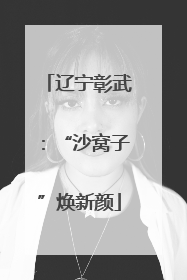 辽宁彰武：“沙窝子”焕新颜