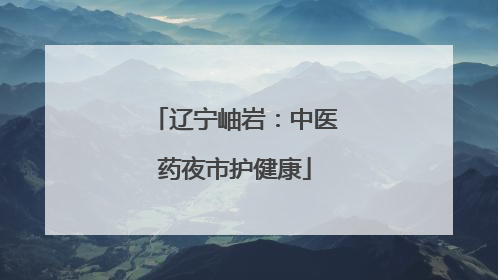 辽宁岫岩：中医药夜市护健康
