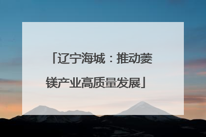 辽宁海城：推动菱镁产业高质量发展