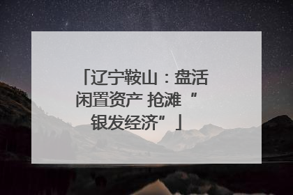辽宁鞍山：盘活闲置资产 抢滩“银发经济”