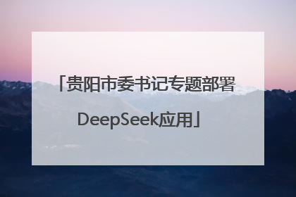 贵阳市委书记专题部署DeepSeek应用