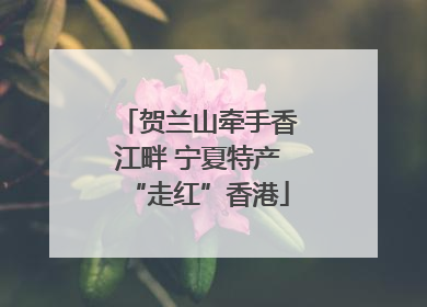 贺兰山牵手香江畔 宁夏特产“走红”香港