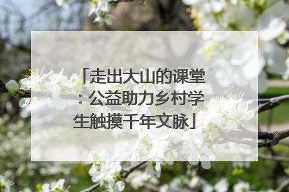 走出大山的课堂：公益助力乡村学生触摸千年文脉