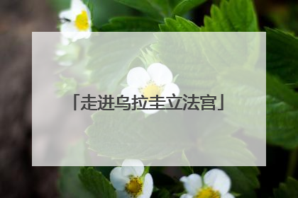 走进乌拉圭立法宫