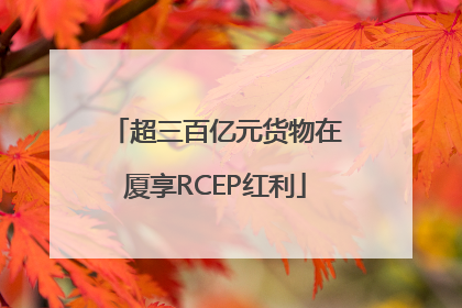 超三百亿元货物在厦享RCEP红利