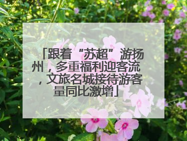 跟着“苏超”游扬州，多重福利迎客流，文旅名城接待游客量同比激增
