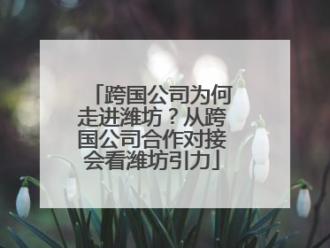 跨国公司为何走进潍坊？从跨国公司合作对接会看潍坊引力