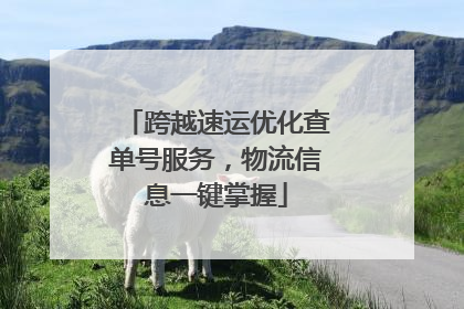 跨越速运优化查单号服务，物流信息一键掌握