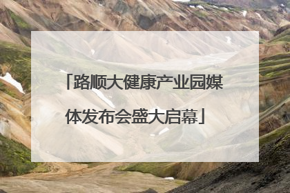 路顺大健康产业园媒体发布会盛大启幕