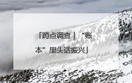 蹲点调查｜“账本”里头话振兴