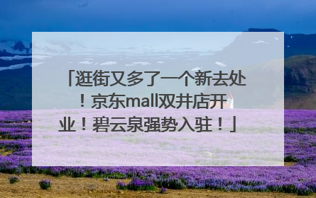 逛街又多了一个新去处！京东mall双井店开业！碧云泉强势入驻！