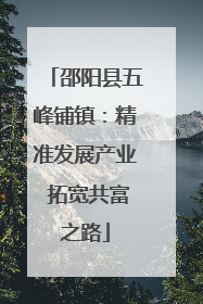 邵阳县五峰铺镇：精准发展产业 拓宽共富之路