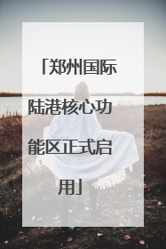 郑州国际陆港核心功能区正式启用