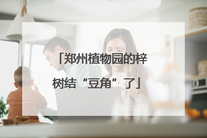 郑州植物园的梓树结“豆角”了
