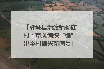 郓城县潘渡镇杨庙村：草藤编织“编”出乡村振兴新图景