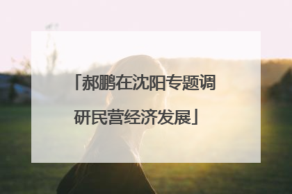郝鹏在沈阳专题调研民营经济发展