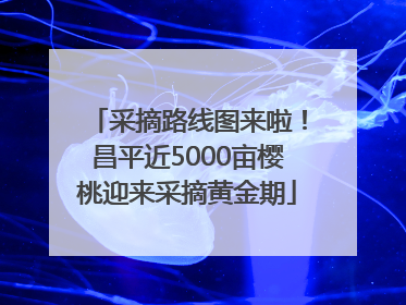 采摘路线图来啦！昌平近5000亩樱桃迎来采摘黄金期
