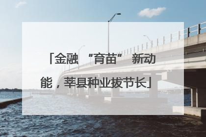 金融 “育苗” 新动能，莘县种业拔节长