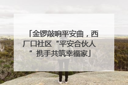 金锣敲响平安曲，西厂口社区“平安合伙人”携手共筑幸福家