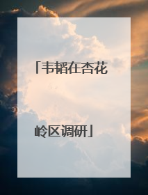 韦韬在杏花岭区调研
