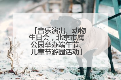 音乐演出、动物生日会，北京市属公园举办端午节、儿童节游园活动