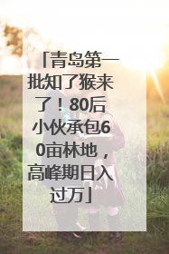 青岛第一批知了猴来了！80后小伙承包60亩林地，高峰期日入过万