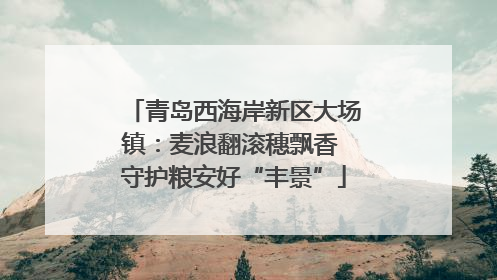 青岛西海岸新区大场镇：麦浪翻滚穗飘香 守护粮安好“丰景”