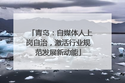 青岛：自媒体人上岗自治，激活行业规范发展新动能