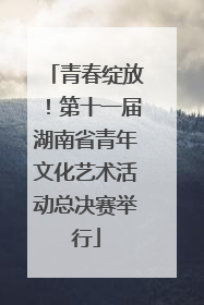 青春绽放！第十一届湖南省青年文化艺术活动总决赛举行
