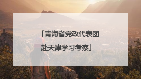 青海省党政代表团赴天津学习考察