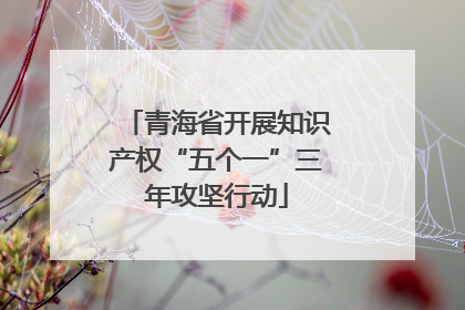 青海省开展知识产权“五个一”三年攻坚行动