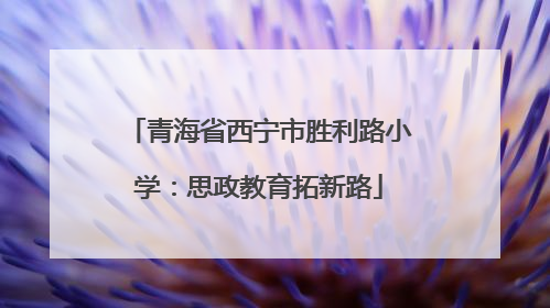 青海省西宁市胜利路小学：思政教育拓新路