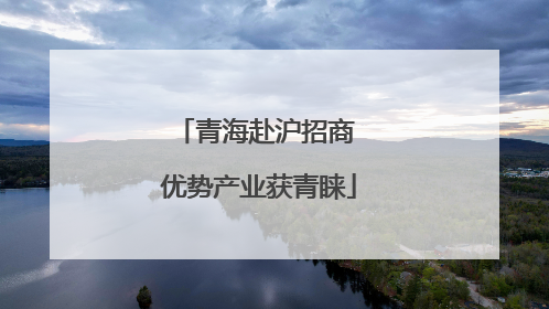 青海赴沪招商 优势产业获青睐