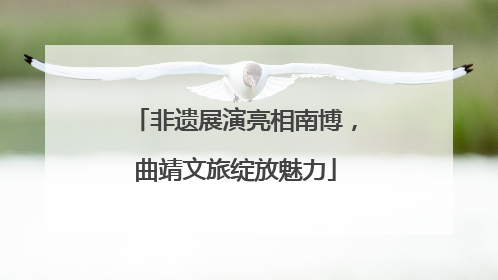 非遗展演亮相南博，曲靖文旅绽放魅力