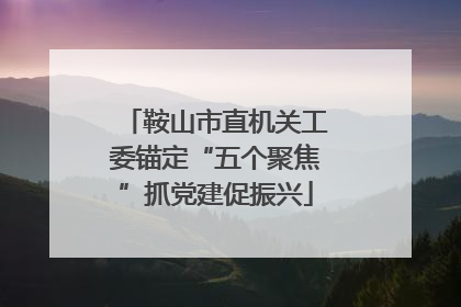 鞍山市直机关工委锚定“五个聚焦”抓党建促振兴