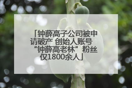 钟薛高子公司被申请破产 创始人账号“钟薛高老林”粉丝仅1800余人