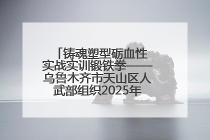 铸魂塑型砺血性 实战实训锻铁拳——乌鲁木齐市天山区人武部组织2025年度民兵集中轮训