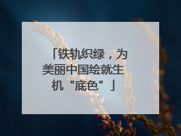 铁轨织绿，为美丽中国绘就生机“底色”