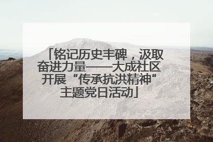 铭记历史丰碑，汲取奋进力量——大成社区开展“传承抗洪精神”主题党日活动