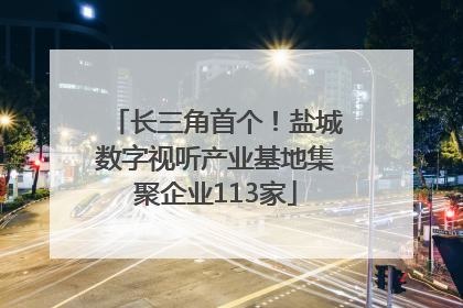 长三角首个！盐城数字视听产业基地集聚企业113家