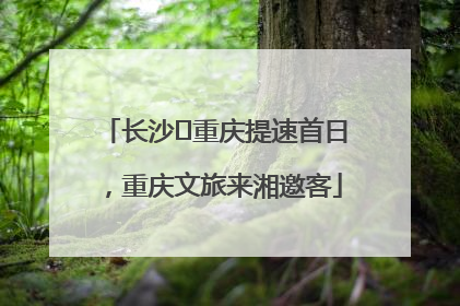 长沙⇌重庆提速首日，重庆文旅来湘邀客