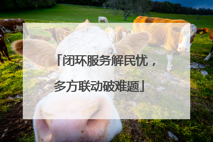 闭环服务解民忧，多方联动破难题