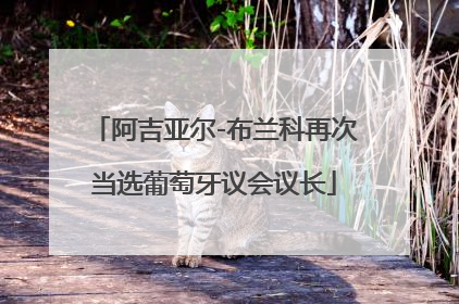 阿吉亚尔-布兰科再次当选葡萄牙议会议长