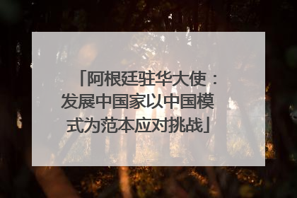 阿根廷驻华大使：发展中国家以中国模式为范本应对挑战