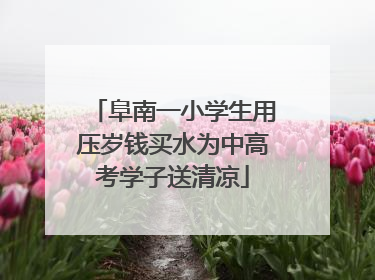 阜南一小学生用压岁钱买水为中高考学子送清凉