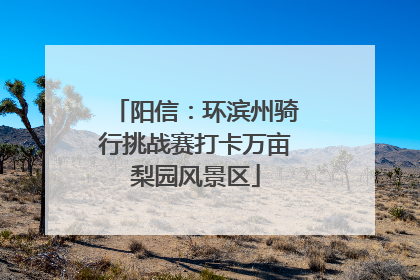 阳信：环滨州骑行挑战赛打卡万亩梨园风景区