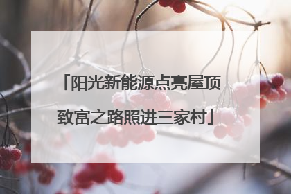阳光新能源点亮屋顶 致富之路照进三家村