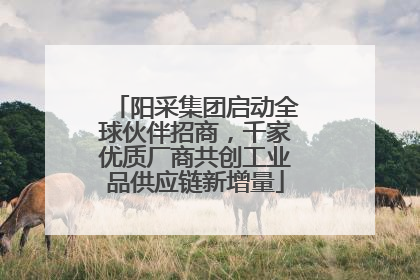 阳采集团启动全球伙伴招商，千家优质厂商共创工业品供应链新增量